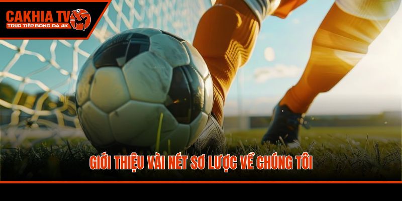 Giới thiệu vài nét sơ lược về chúng tôi
